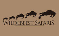 Wildebeest Safari | BG System Services Pvt. Ltd.